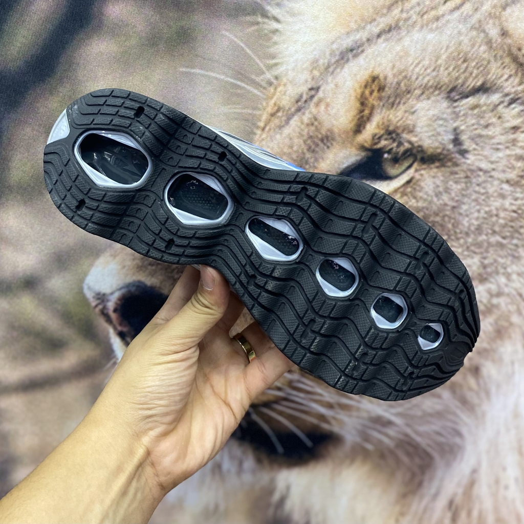 img_06661-4bf498d11e3b73d5d216946556867513-1024-1024