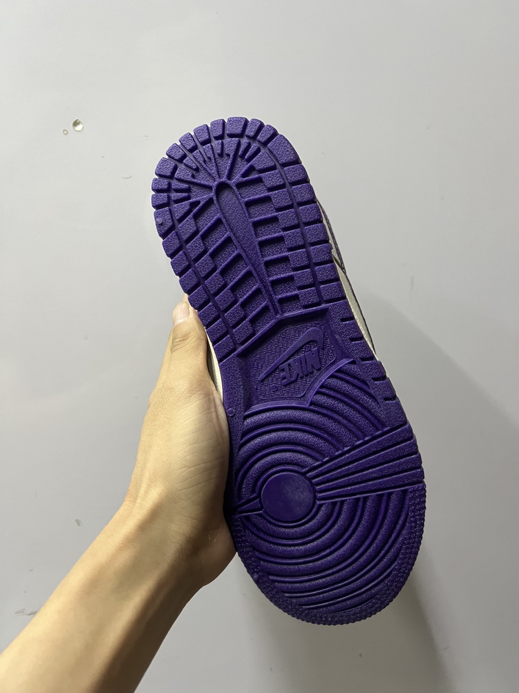 img_2479-695866a51737aa6df017243493860411-1024-1024